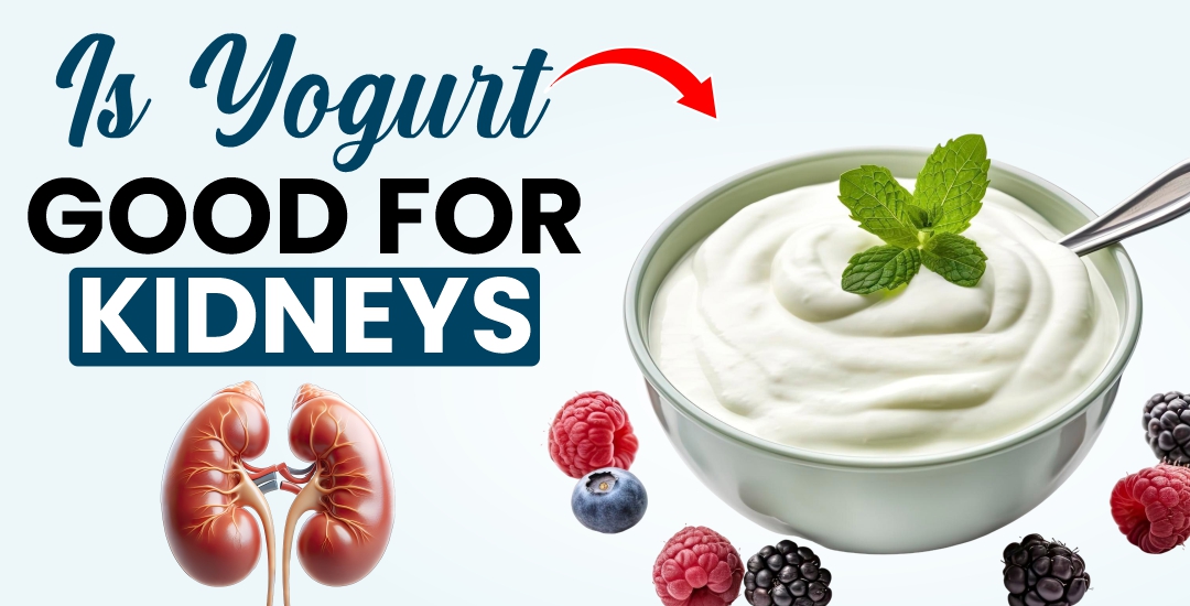 Is Yogurt Good for Kidneys?